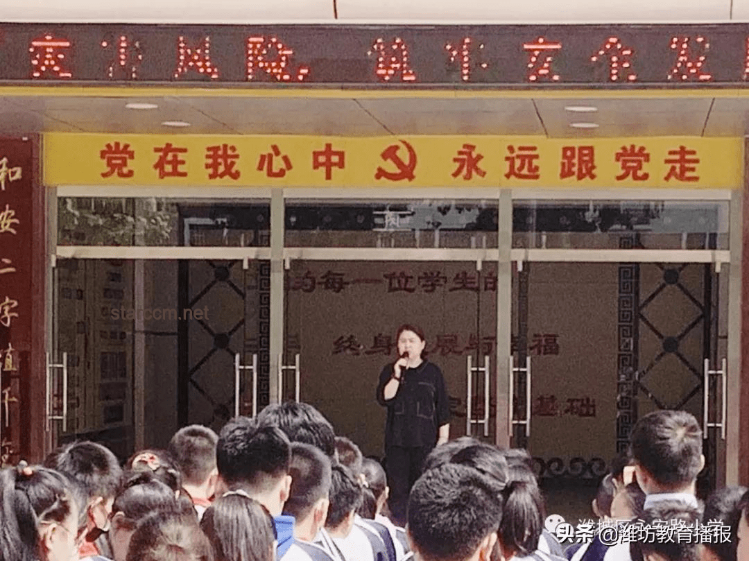 姚安娜的选择：哈佛毕业后的多元化发展之路